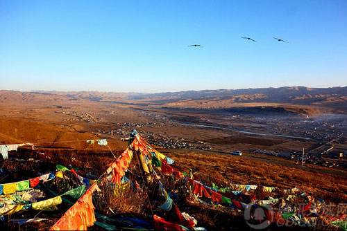 廣州到阿壩藏族羌族自治州物流專線,廣州到阿壩藏族羌族自治州貨運(yùn)公司